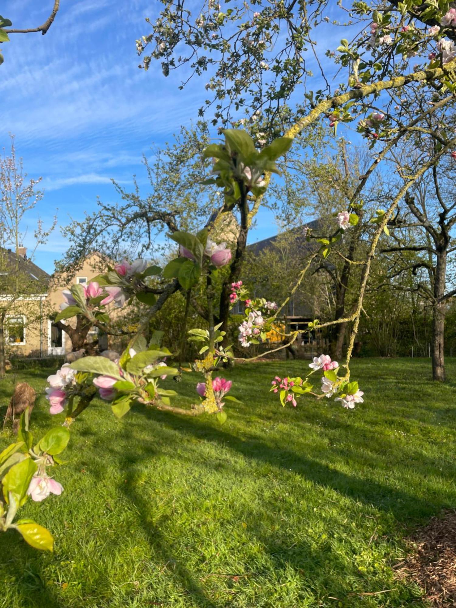 Appartement De Dageraad In Monumentale Boerderij Кімсверд Екстер'єр фото